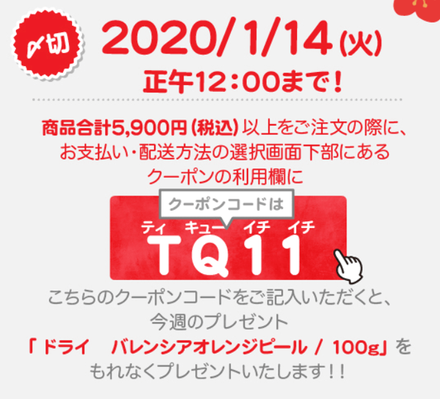 お得なクーポン券